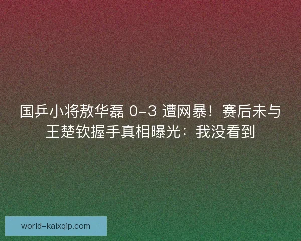 国乒小将敖华磊 0-3 遭网暴！赛后未与王楚钦握手真相曝光：我没看到